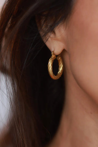 Gold Twist Hoop Earrings