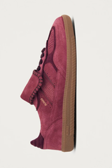Tb.490 CLUB RASPBERRY